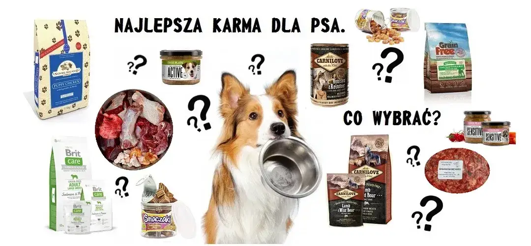 różne rodzaje karmy dla szczeniąt
