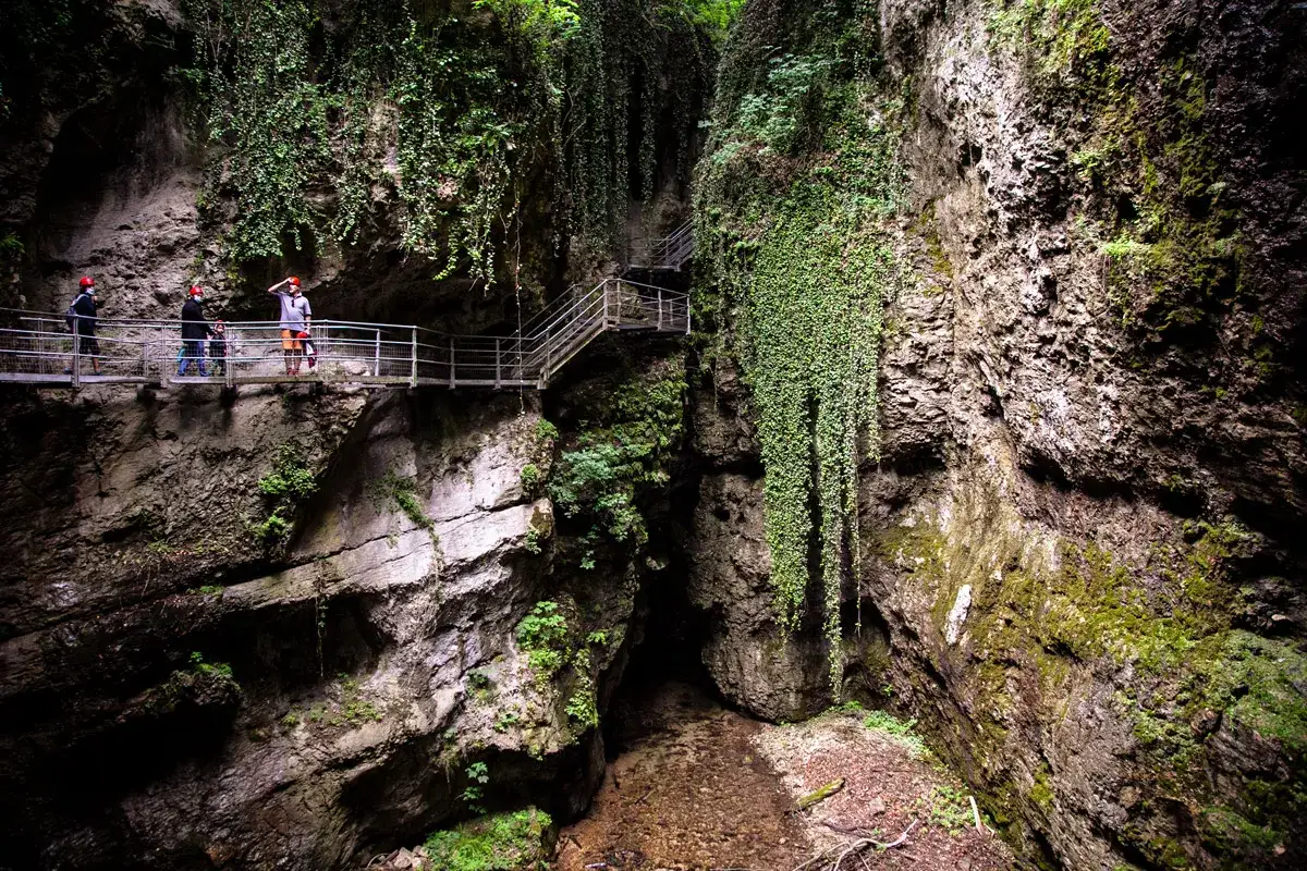 Sentiero attrezzato nel canyon Rio Sass, con passerelle metalliche e vegetazione lussureggiante che scende dalle pareti rocciose.