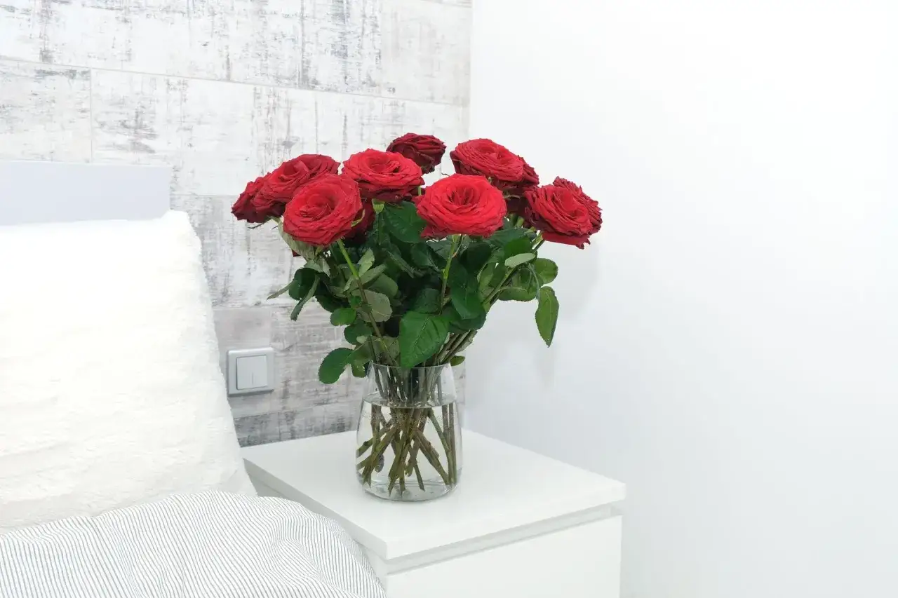 Bukiet czerwonych róż w szklanym wazonie na białej szafce nocnej. Woda z odżywką sprawi, że róże dłużej staną.