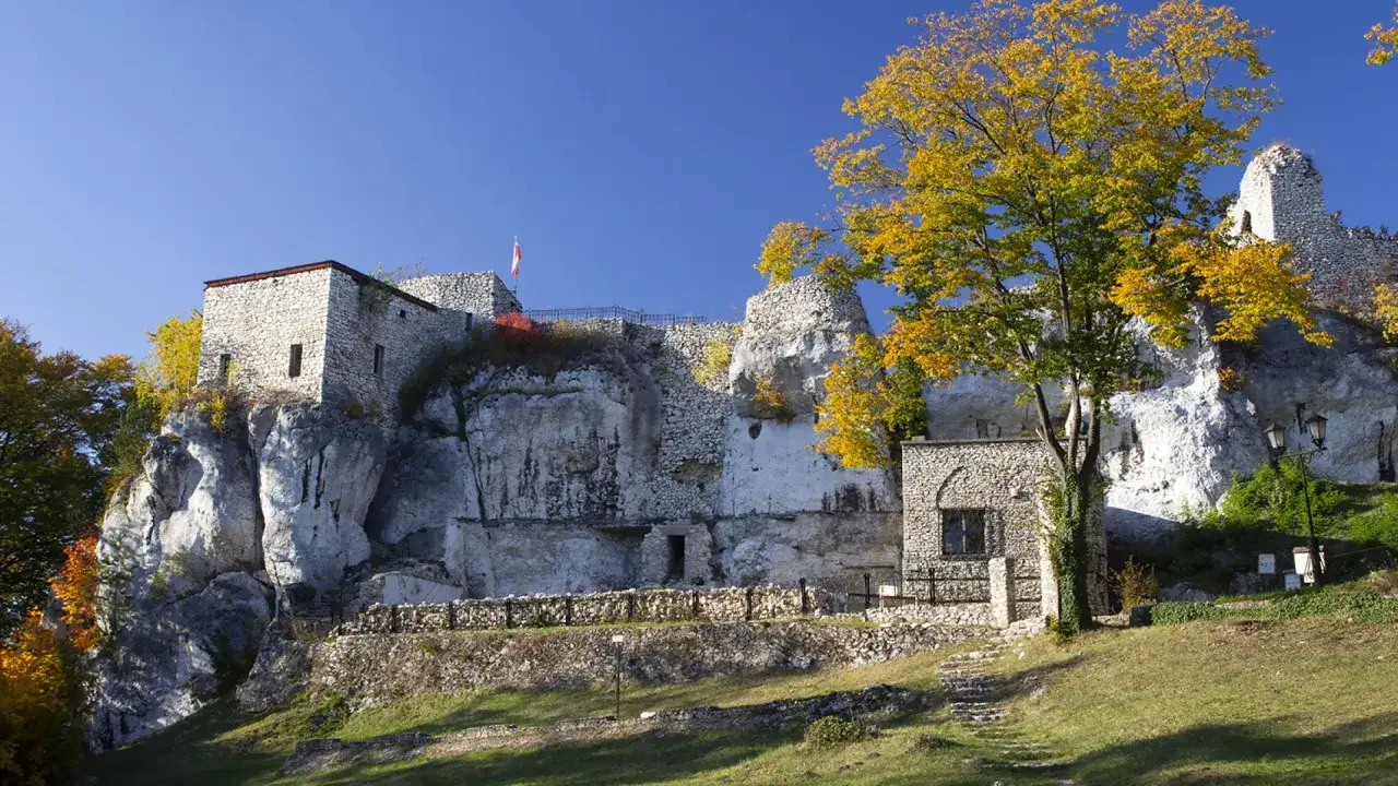 Kamienny zamek morsko na skale, otoczony jesiennymi drzewami.