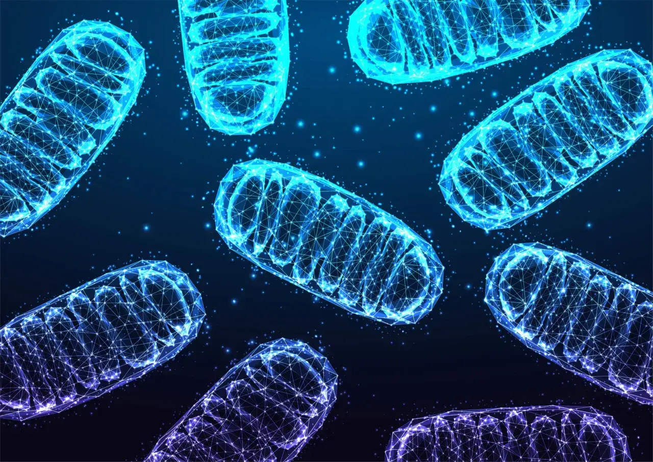 Choroby mitochondrialne objawy