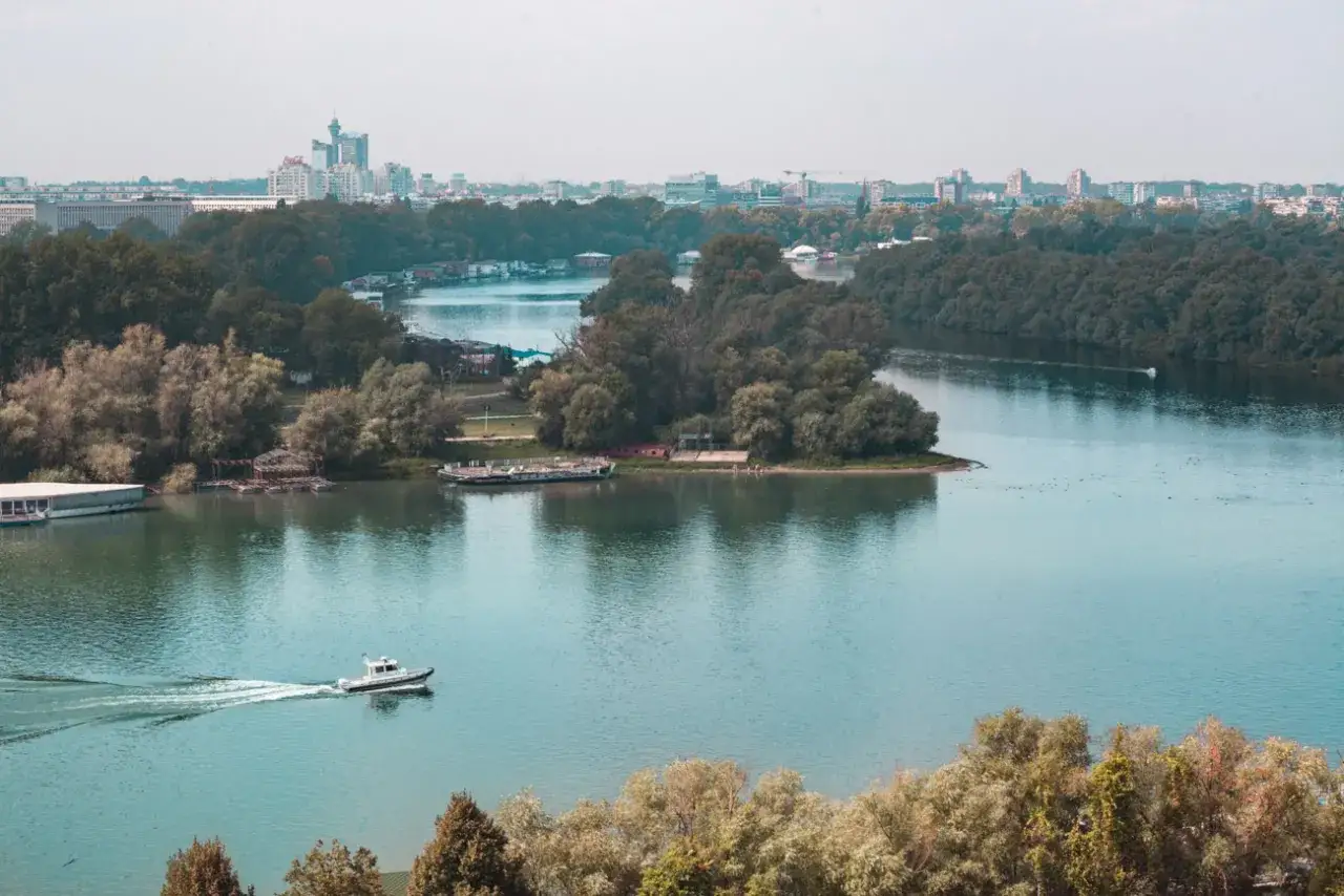 Widok na rzekę i zalesione brzegi, w oddali widać zabudowania stolicy Serbii.