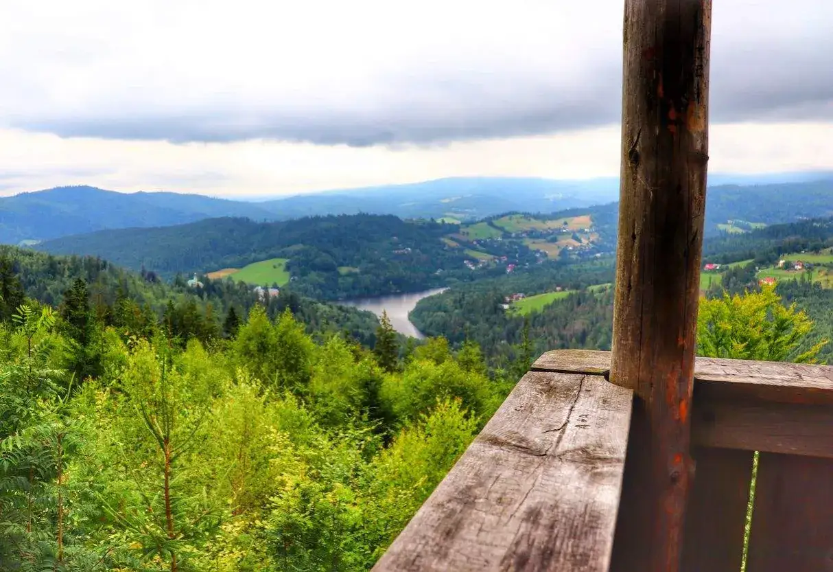 Widok z wieży widokowej na przełęcz Szarcula. Jezioro, lasy i pag&oacute;rki w oddali.