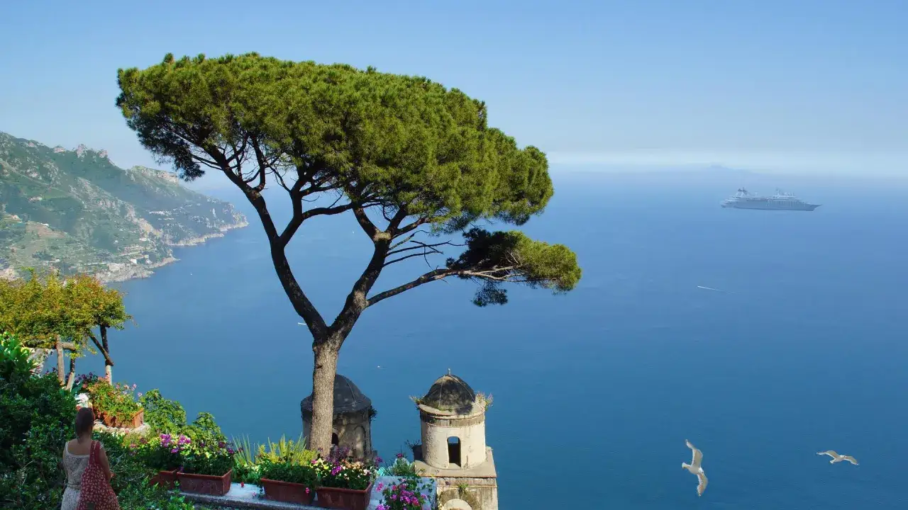 Vista mozzafiato sulla costa amalfitana, con un pino marittimo che domina la scena. In lontananza, una nave da crociera solca il mare blu.