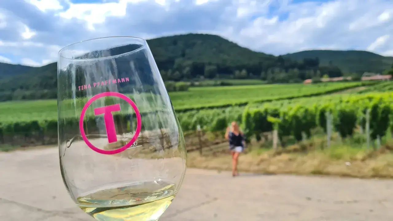 Szklanka z winem, z logo TINA PFAFFMANN, na tle winnicy. Idealny trunek z Bordeaux na letni dzień.