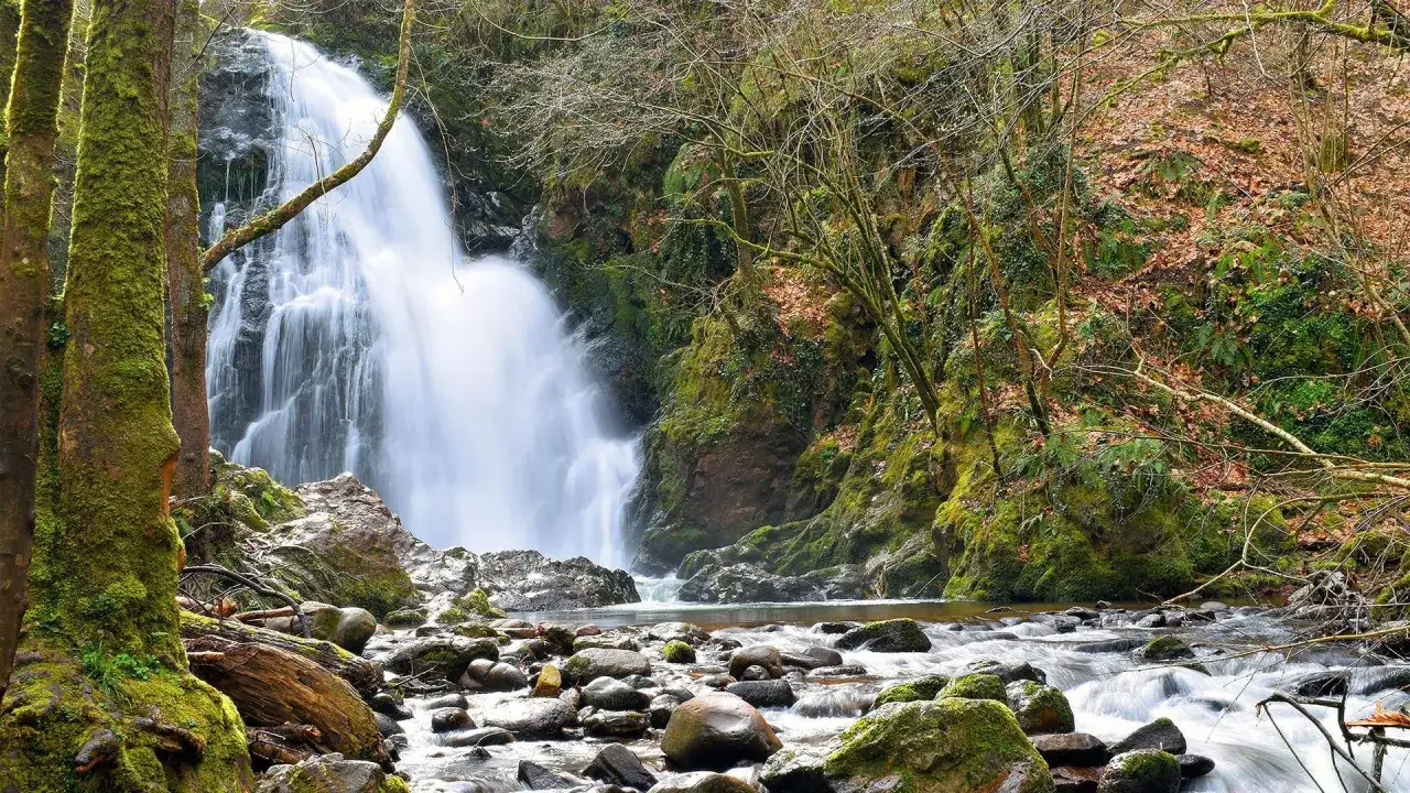 Cascada en el **valle del Baztan**, rodeada de &aacute;rboles cubiertos de musgo y rocas. El agua cae con fuerza sobre el r&iacute;o.