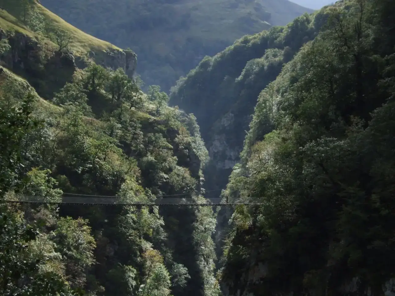Un excursionista cruza la pasarela de Holzarte, un puente colgante sobre un profundo ca&ntilde;&oacute;n verde.