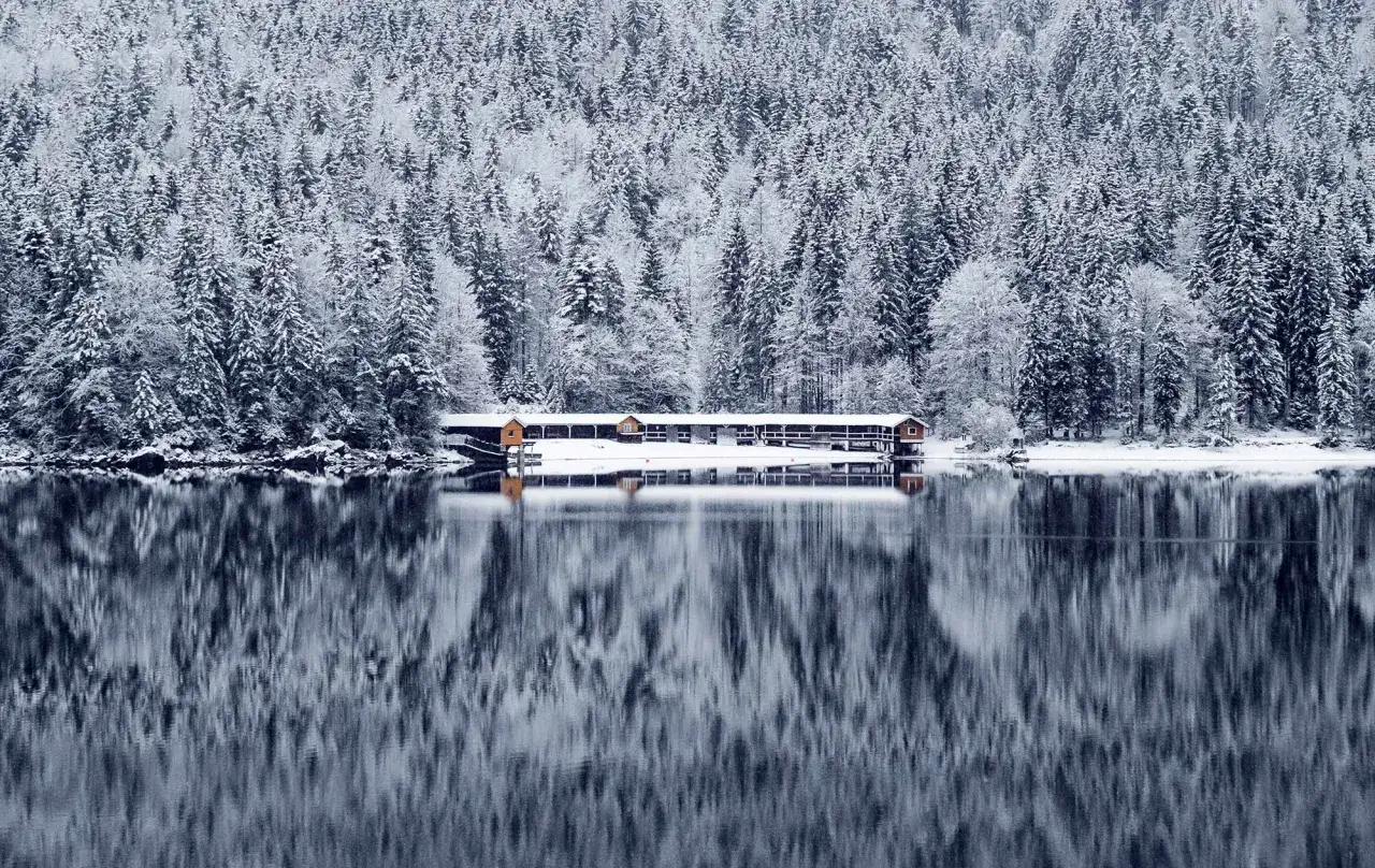 Eibsee winter: verschneite B&auml;ume spiegeln sich im ruhigen Wasser vor einer Reihe von Holzh&auml;usern.