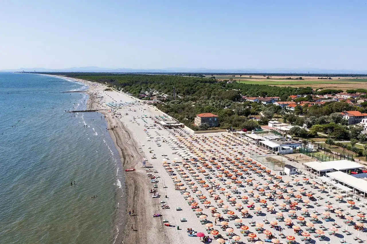 Spiaggia affollata con file di ombrelloni e lettini, mare azzurro e pineta. Perfetto per scoprire le cose da fare a Ravenna in estate.