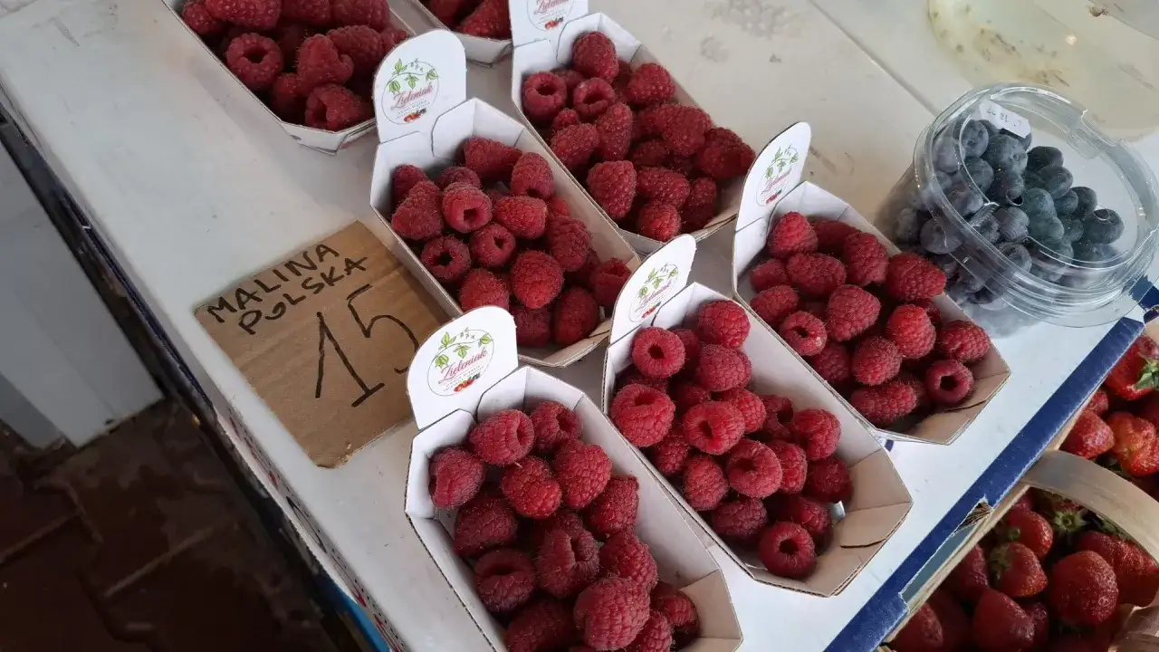 Maliny polskie sezon zbiory