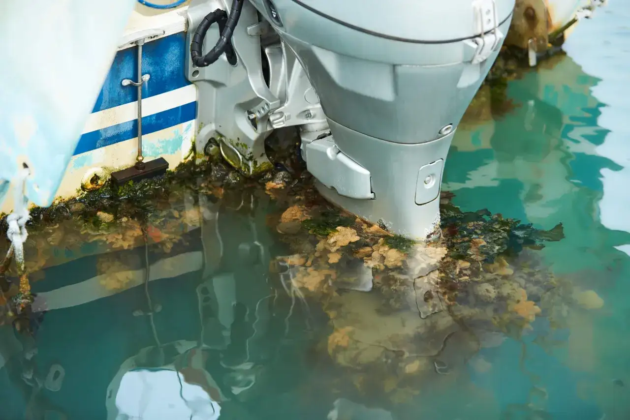 La coque d'un bateau est recouverte d'algues et de coquillages, signe qu'il navigue sans antifouling.