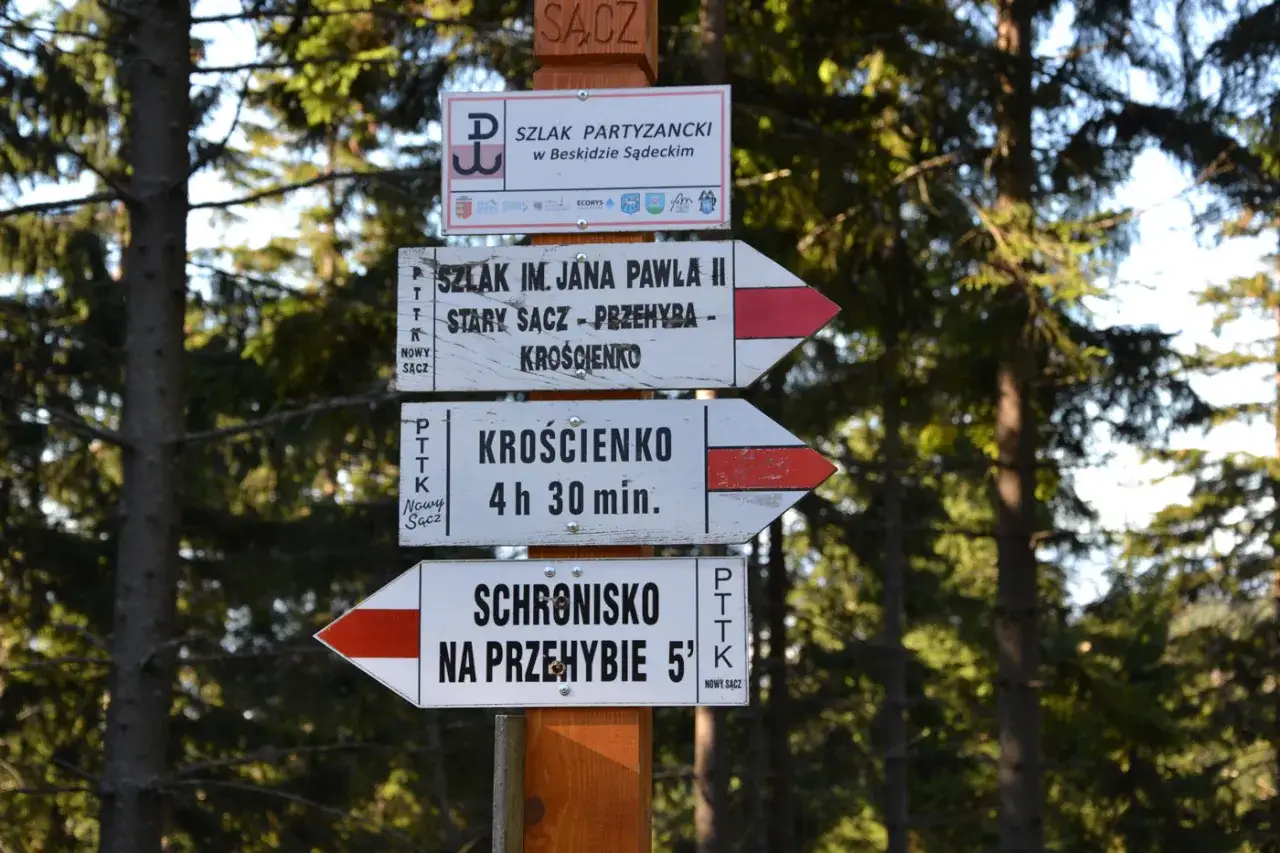 Rozdroże szlaków w Beskidzie Sądeckim. Wskazówki kierują do schroniska na Przehybie, Krosna i Starego Sącza.