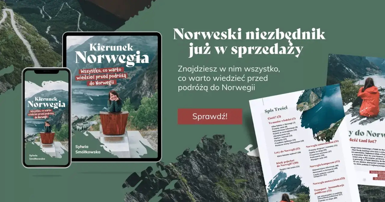 Norweski niezbędnik - przewodnik po Norwegii, kraju członkowskim NATO. Znajdziesz tu wszystko, co musisz wiedzieć przed podr&oacute;żą.