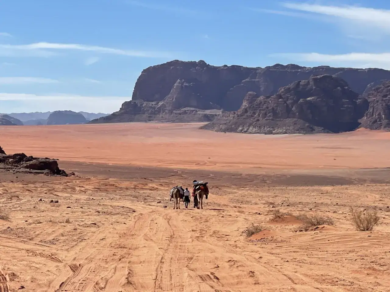 Un trek en Jordanie : deux dromadaires chargés traversent le désert de Wadi Rum sous un ciel bleu.