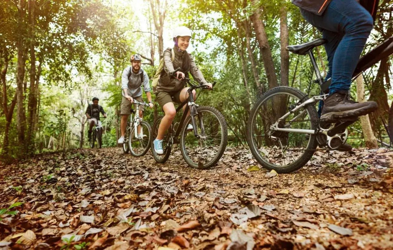 Un grupo de amigos disfruta de rutas en bici de monta&ntilde;a por un sendero boscoso cubierto de hojas secas.