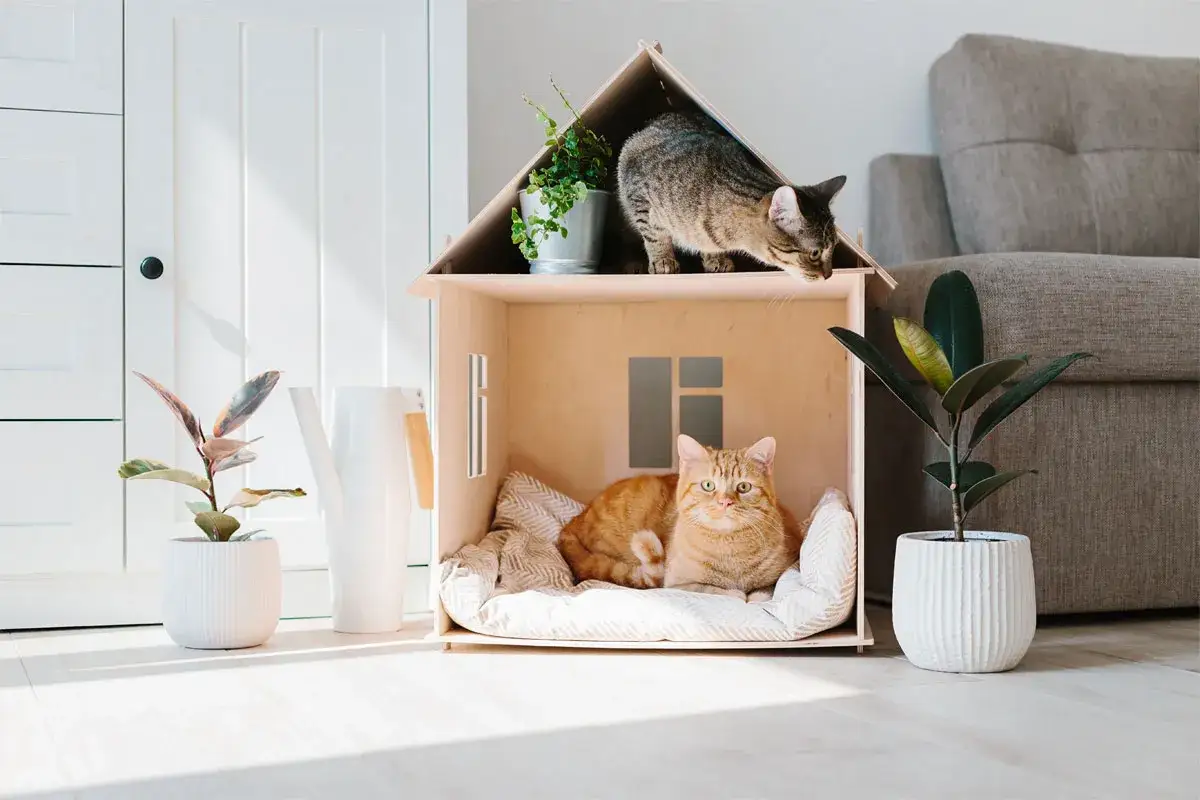 Zwei Katzen in einem Holzhaus-Spielhaus. Eine orangefarbene Katze liegt auf einem Kissen, eine getigerte Katze steht oben. Darf der Vermieter Katzen verbieten?
