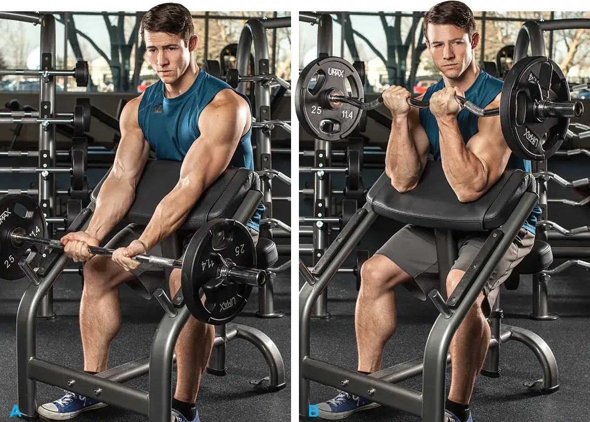 Mężczyzna wykonuje ćwiczenia na biceps z użyciem sztangi na ławce Scotta. Widoczne są jego umięśnione ramiona i skupienie na twarzy.