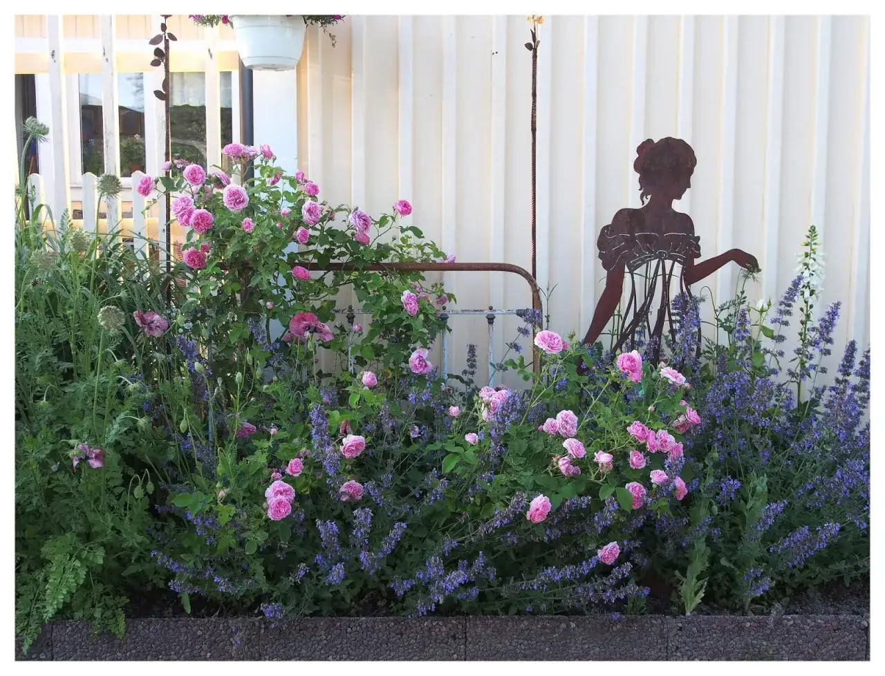 En blomstrande trädgård med rosa rosor och lila lavendel. En silhuett av en kvinna sitter i en stol, som om hon njuter av lugnet. En gammal sängram fungerar som stöd för klätterrosor.