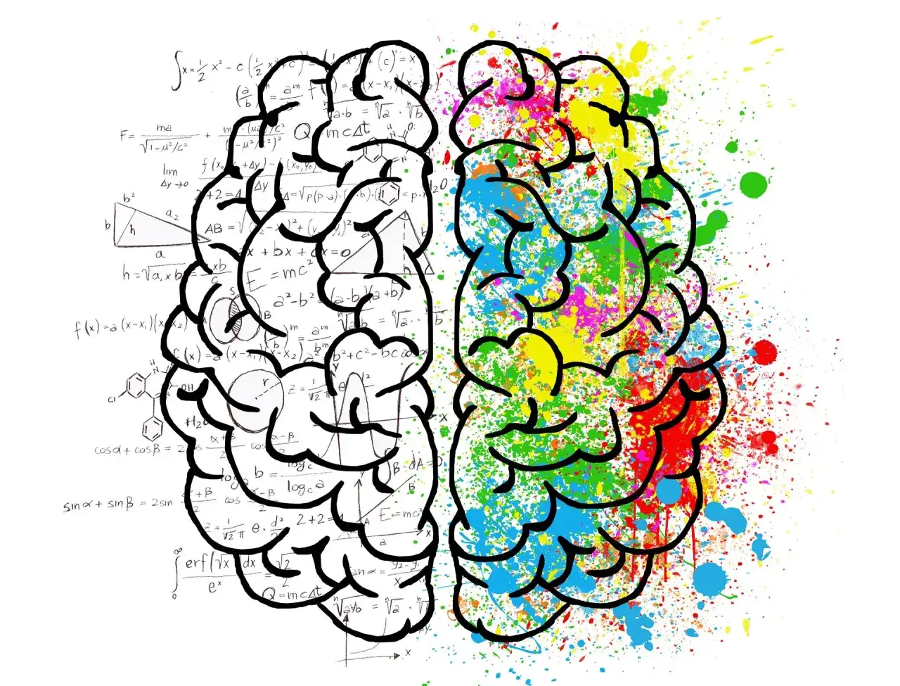 Cerveau artistique divisé : une moitié couverte de formules mathématiques, l'autre éclaboussée de couleurs vives.
