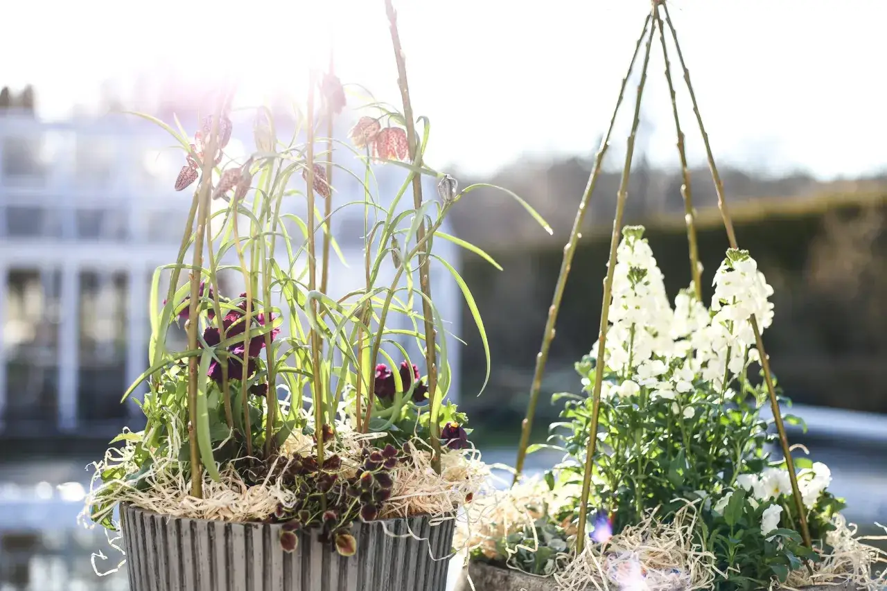 Vårplantering i kruka med blommande orm- och liljeklockor, omgivna av solljus och grönska.