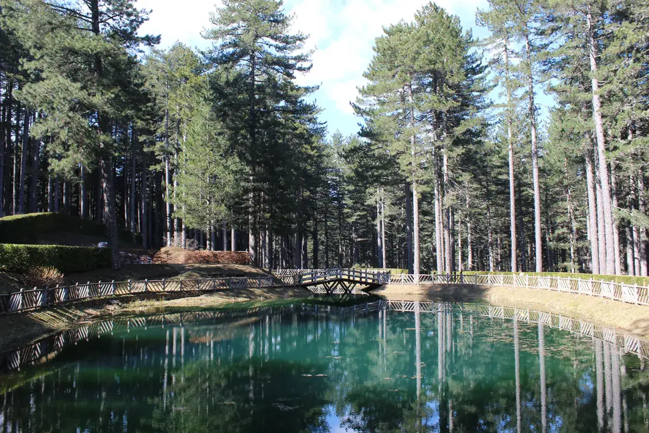 Lago sereno circondato da pini imponenti, con un ponticello in legno che attraversa l'acqua. Un angolo di pace nel villaggio Mancuso.