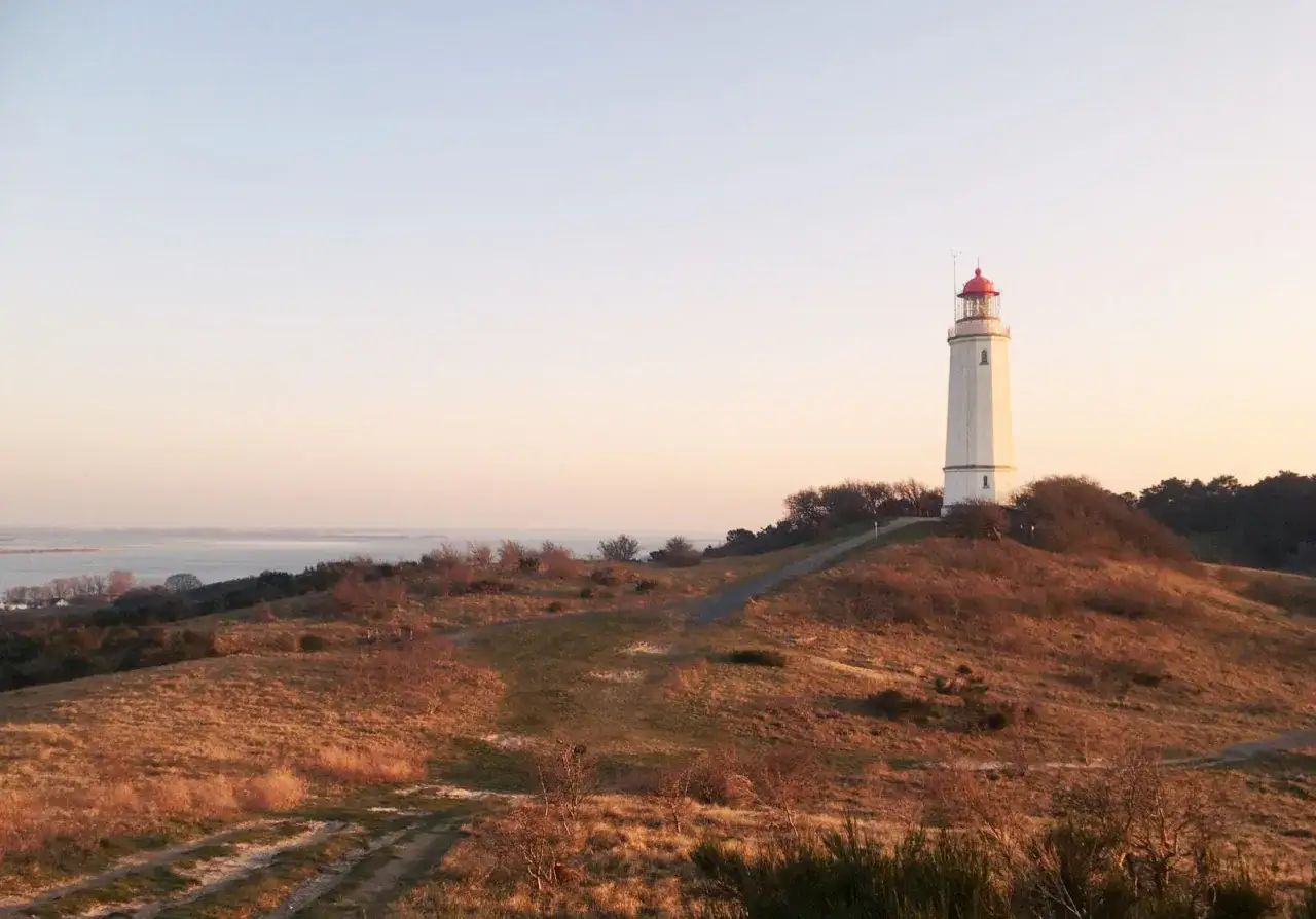 Der Leuchtturm Hiddensee ragt auf einer Hügelkuppe empor, umgeben von trockener Vegetation und dem weiten Meer im Hintergrund.