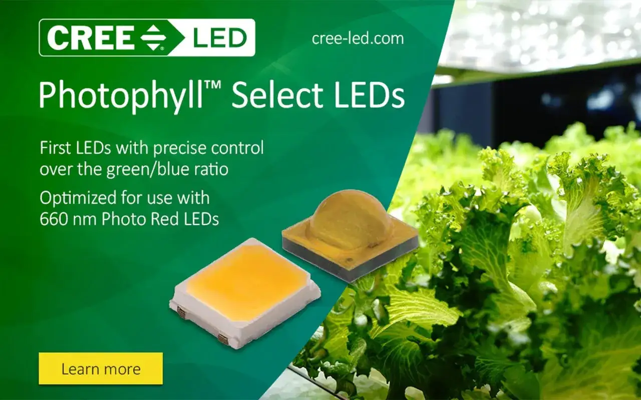 Diody Cree Photophyll™ Select LEDs do uprawy roślin. Poznaj różne rodzaje diod Cree.