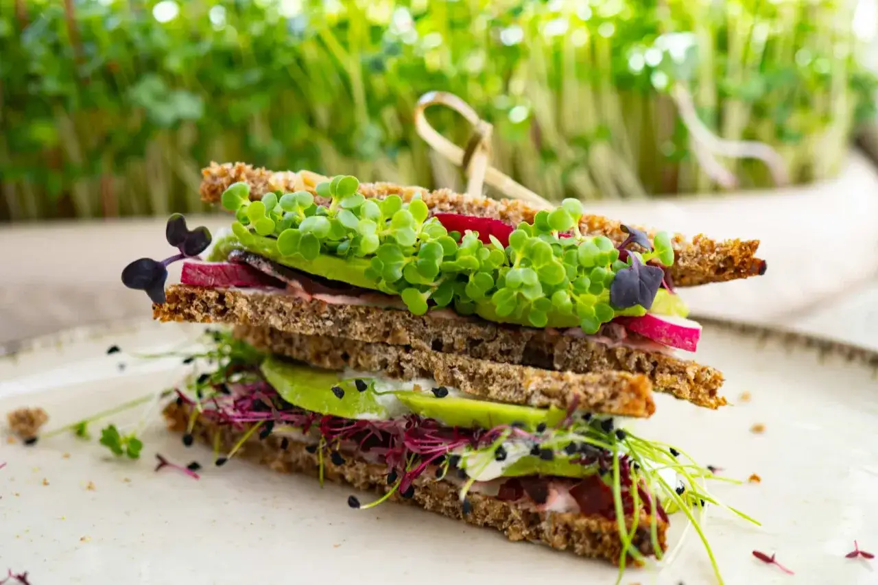 Gestapeltes Sandwich mit Avocado, Radieschen und Sprossen. Ein Beispiel für gesunde Sandwich Rezepte.