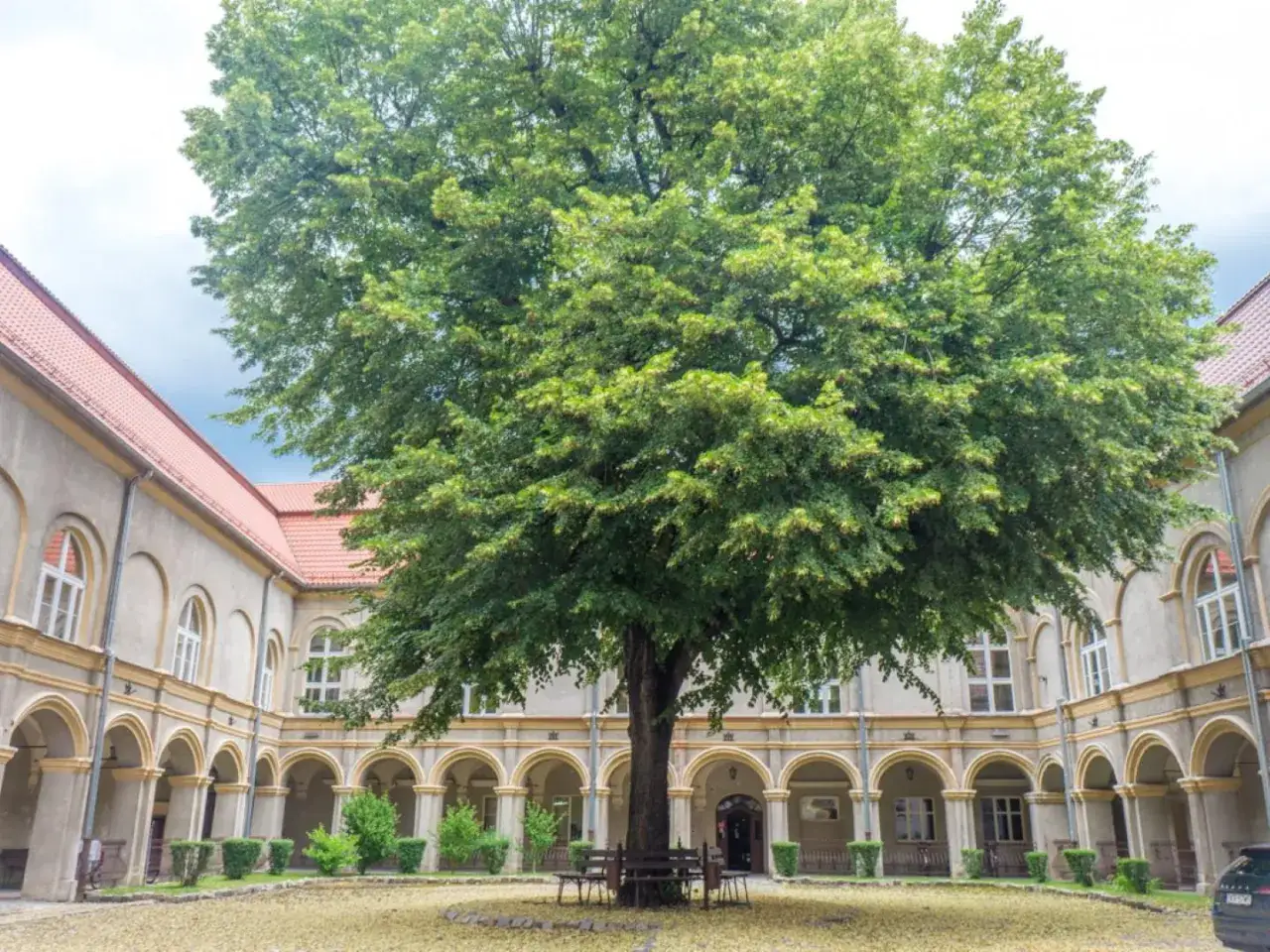 Dziedziniec z okazałym drzewem i arkadowymi krużgankami, przypominający o historii zamku w Krapkowicach.