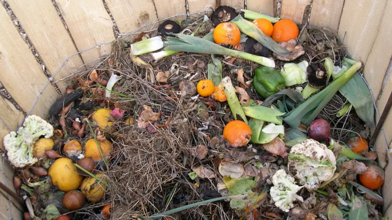 Mont&oacute;n de restos org&aacute;nicos, como c&aacute;scaras de naranja, puerros y coliflor, listos para aprender como hacer compost.