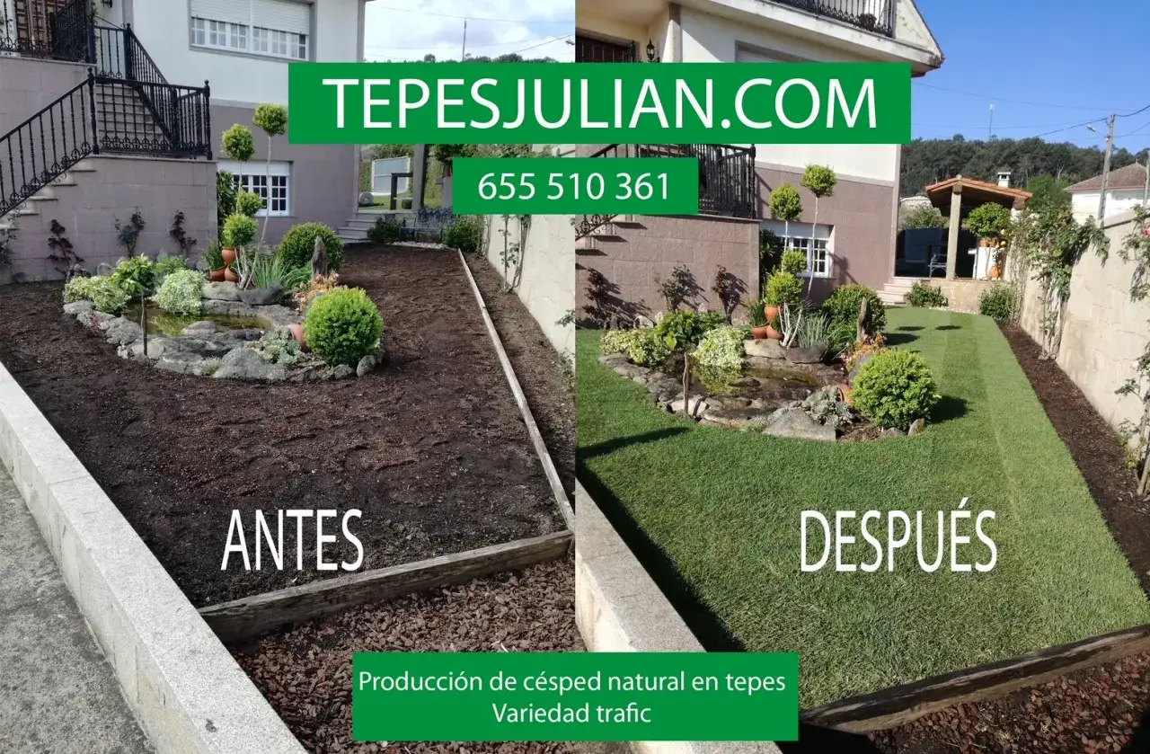 Antes y despu&eacute;s de plantar c&eacute;sped en tepes. Un jard&iacute;n transformado con c&eacute;sped natural de variedad trafic.