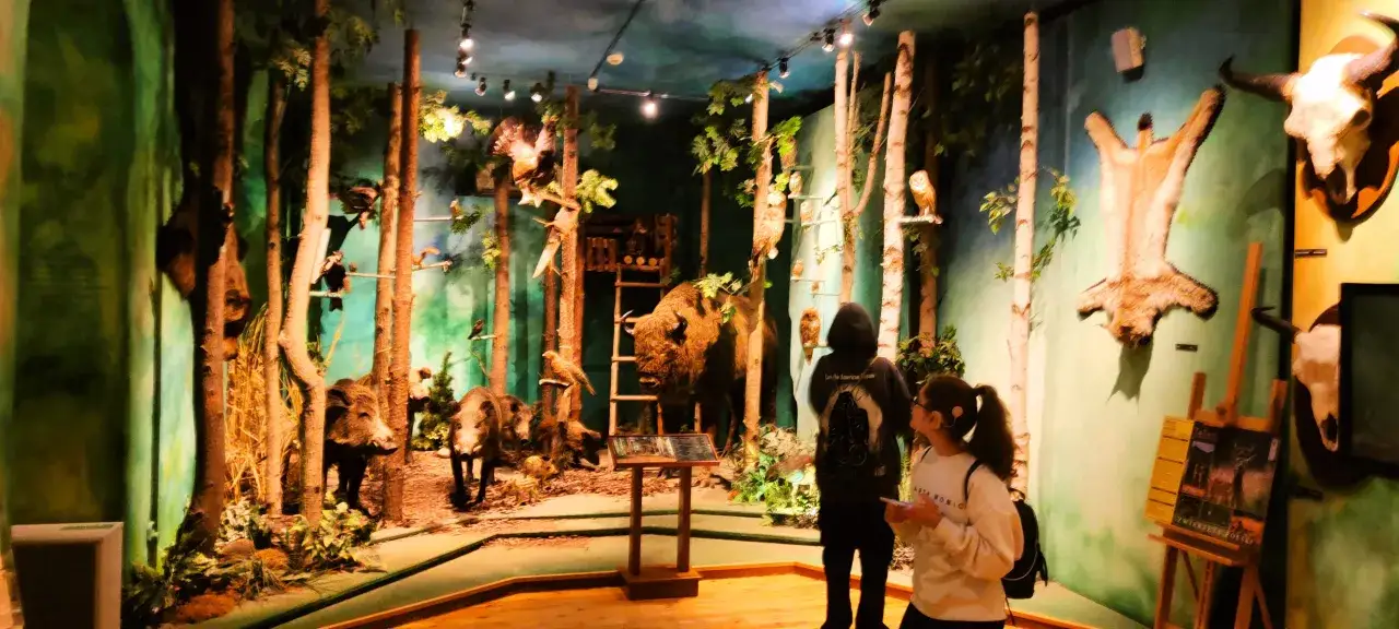 Muzeum Łowiectwa i Jeździectwa dostępność