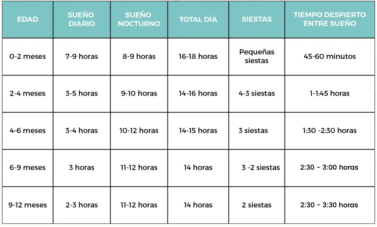 Tabla de sueño para bebé de 11 meses: 2-3 horas de sueño diario, 11-12 horas nocturno, 14 horas total, 2 siestas.