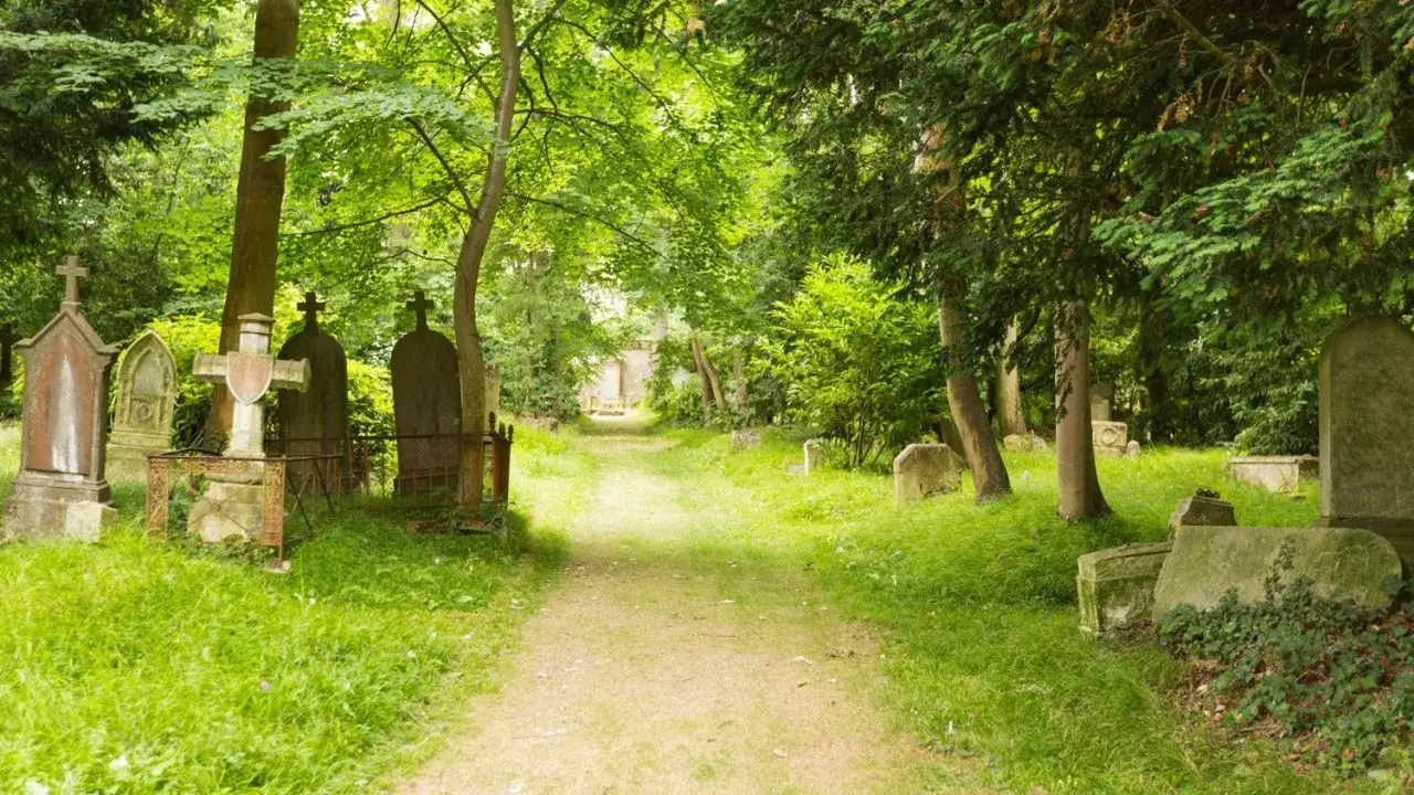 Sentier verdoyant menant à un cimetière dormant à Caen, entouré d'arbres et de pierres tombales anciennes.