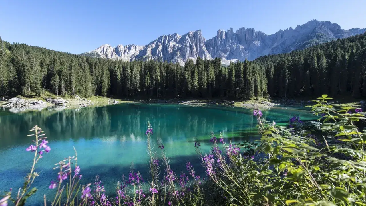 Un **lago che cambia colore** riflette montagne imponenti e una foresta di abeti. Fiori viola sbocciano in primo piano, aggiungendo un tocco di colore.