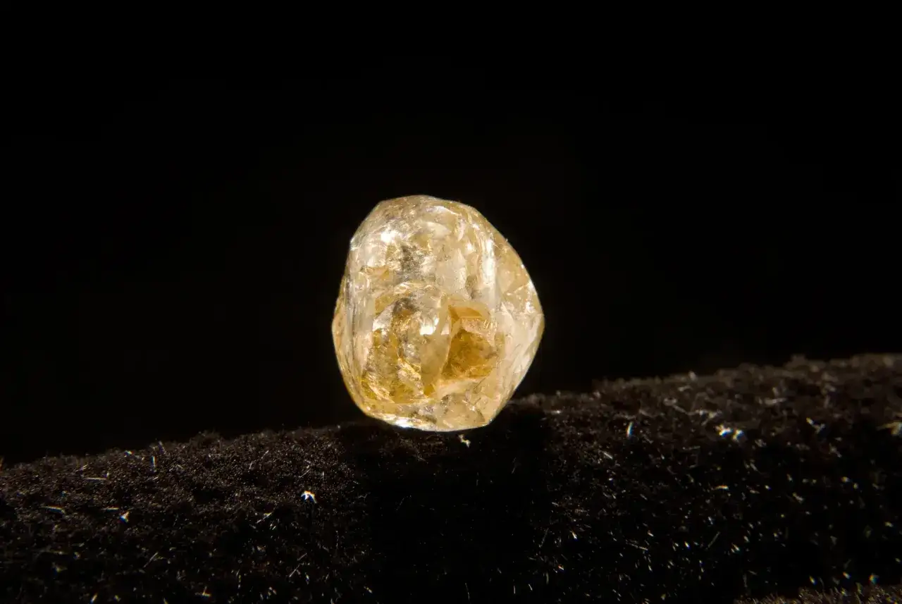Un grezzo diamante non lavorato, con sfumature dorate, riposa su un velluto nero.