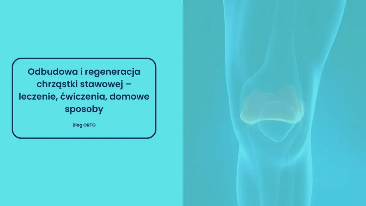 Odbudowa chrząstki w kolanie: leczenie, ćwiczenia i domowe sposoby na regenerację stawu. Grafika przedstawia schemat kolana.