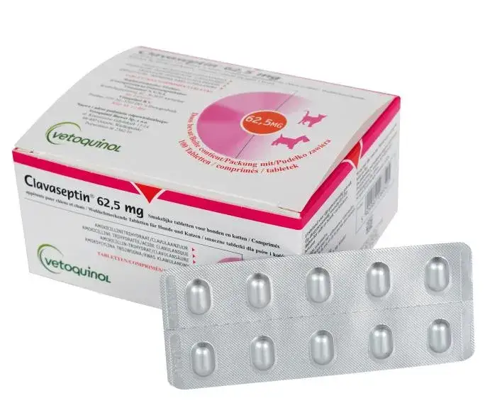 Clavaseptin tabletki dla psa opakowanie