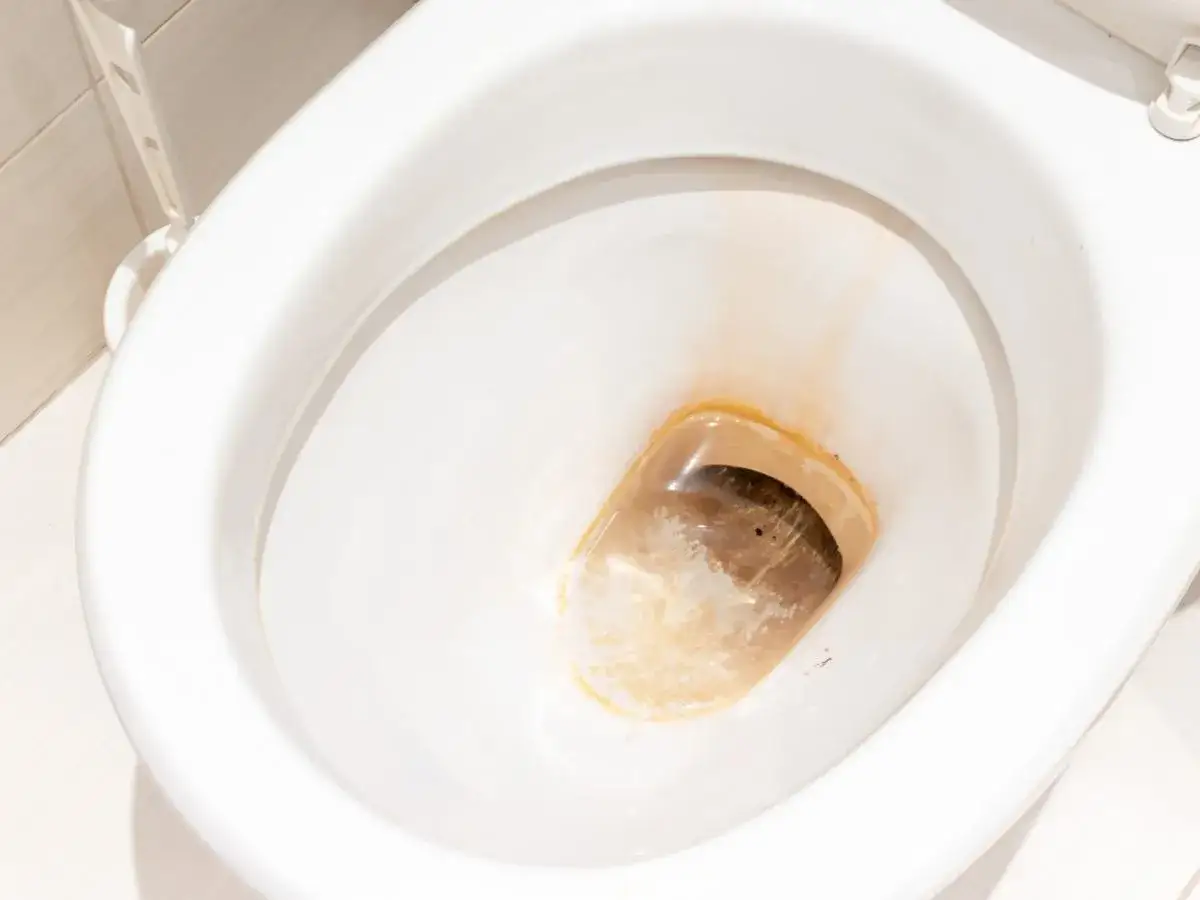 Zabrudzona muszla klozetowa, rdzawe osady i kamień. Czym przepchać kibel, gdy jest tak zapuszczony?