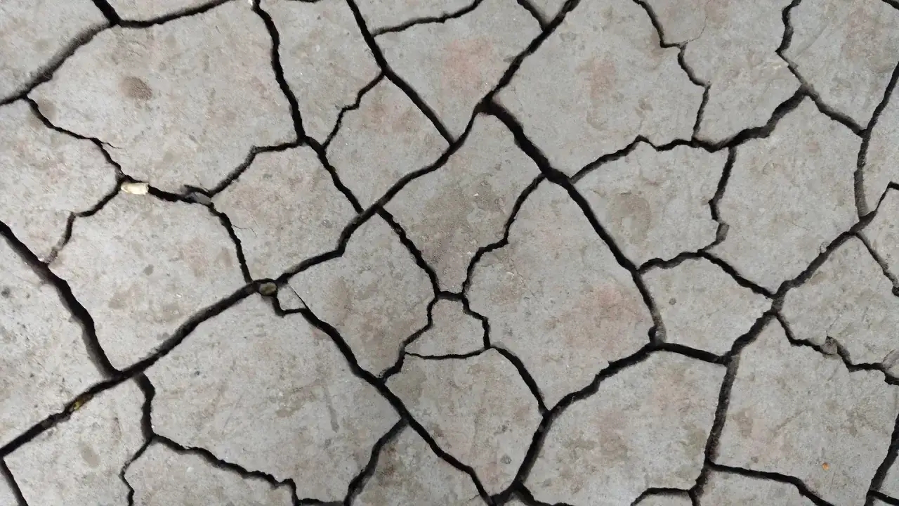 Tierra agrietada, como si la hubiese sacudido un terremoto. Las grietas forman un patr&oacute;n irregular sobre la superficie seca.