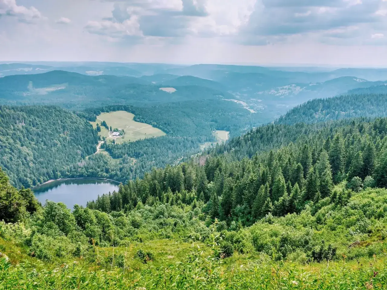 Widok na jezioro otoczone lasami i wzgórzami. To jedno z najpiękniejszych miejsc w Schwarzwaldzie, gdzie natura zachwyca spokojem i zielenią.