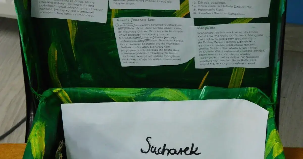Zdjęcie Tematy wypracowań do lektury Bracia Lwie Serce, kt&oacute;re zaskoczą nauczycieli