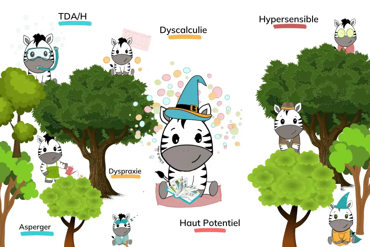 Des zèbres illustrent différentes conditions : TDA/H, Dyscalculie, Hypersensible, Dyspraxie, Asperger, Haut Potentiel. Chaque zèbre est unique, comme chaque façon d'être un zèbre.