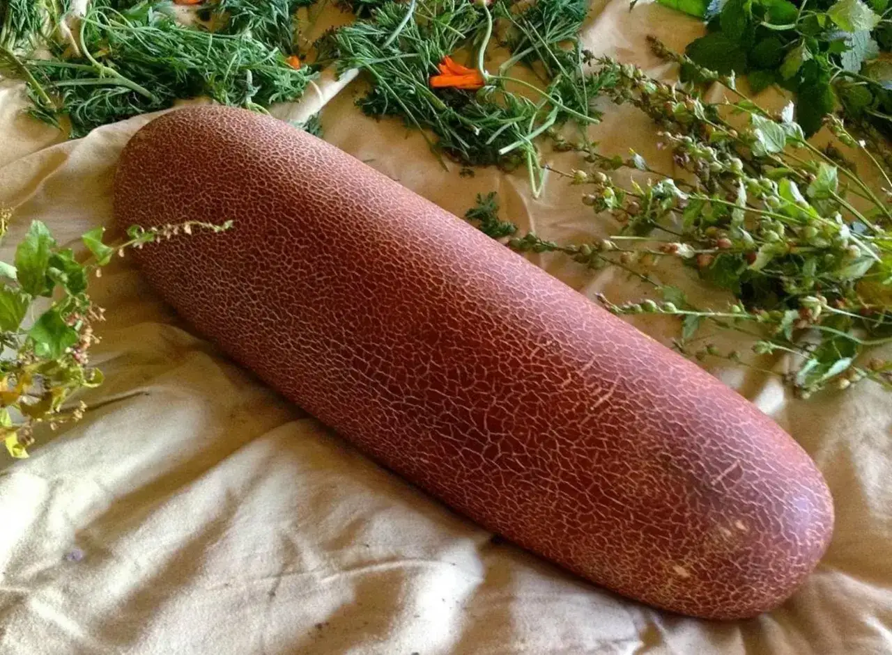 Un concombre poona kheera à la peau craquelée, posé sur un tissu beige, entouré de verdures et de petites fleurs.