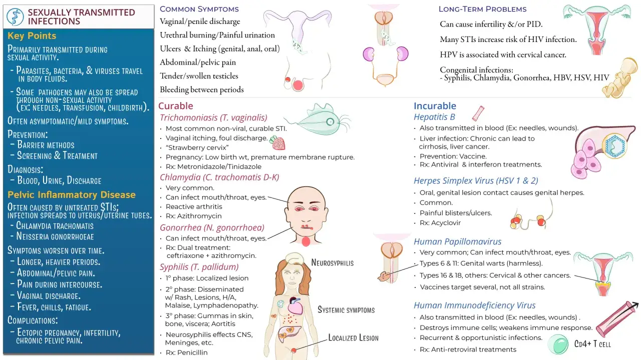 Infografika o chorobach wenerycznych: objawy, leczenie, powikłania. Wymienia m.in. chlamydię, kiłę, rzeżączkę.
