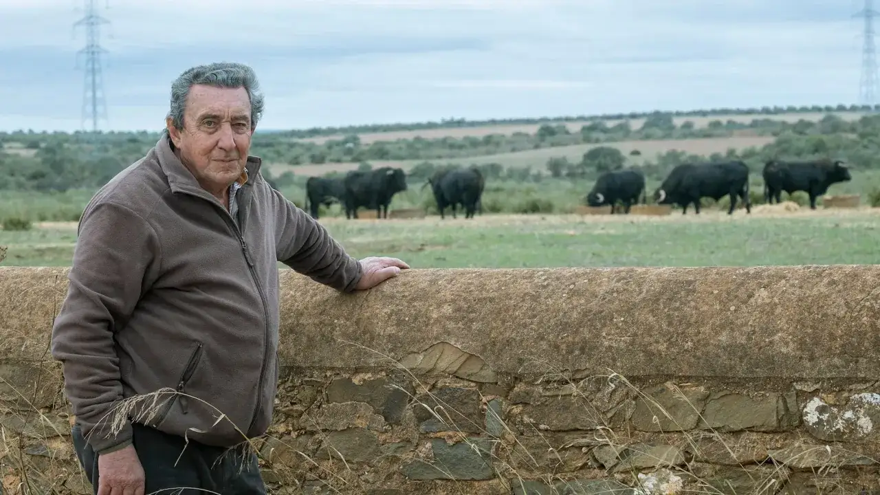 Fernando Cuadri, a man of considerable edad, oversees his herd of black bulls in a pastoral landscape.