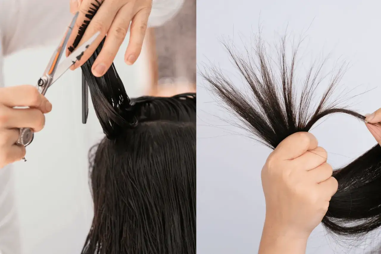 Haare mit kaputten Spitzen werden abgeschnitten. Eine Hand h&auml;lt eine Str&auml;hne, die andere schneidet mit einer Schere.