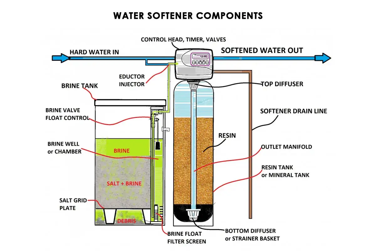 Sch&eacute;ma des composants d'un adoucisseur d'eau, montrant le r&eacute;servoir de saumure et le r&eacute;servoir de r&eacute;sine pour un entretien optimal.