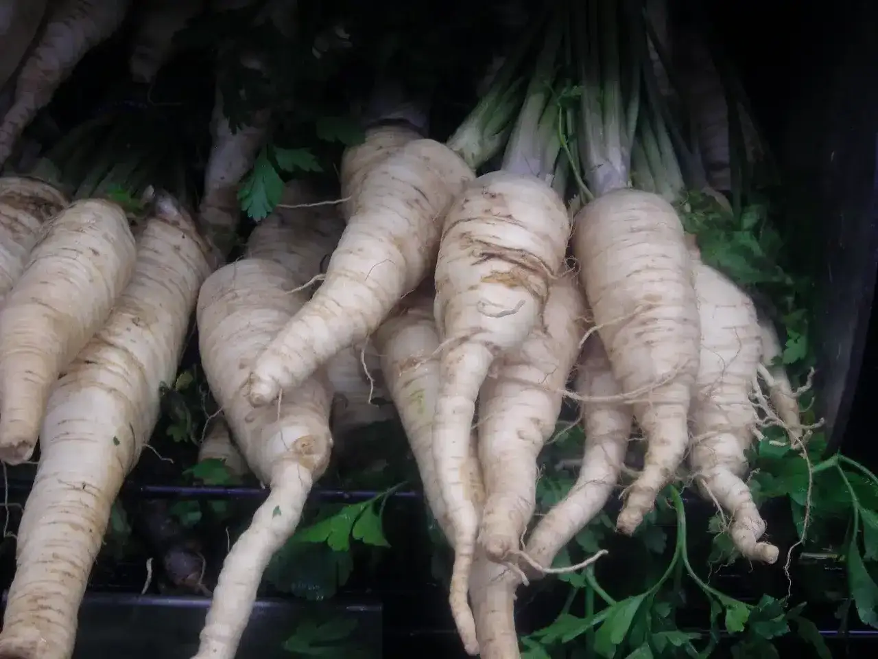 Pęczek świeżych, białych korzeni pietruszki, gotowych do dodania aromatu do zupy.