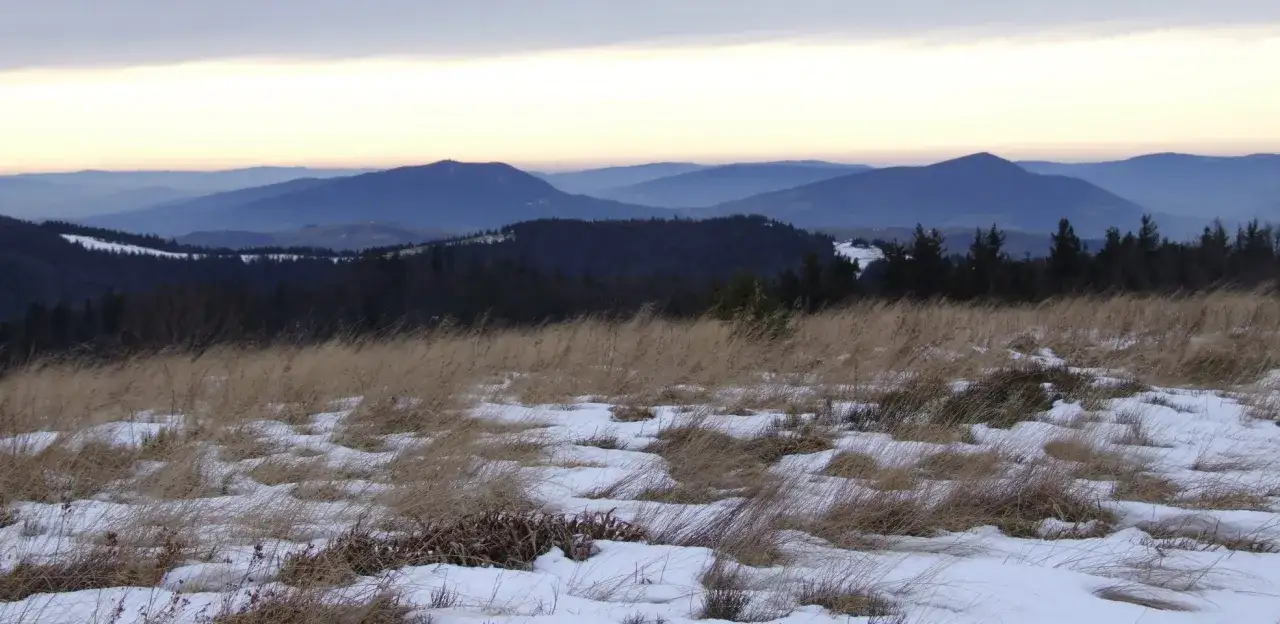 Ośnieżone trawy na pierwszym planie, a w tle łagodne, niebieskie **beskid wyspowy szczyty** o zachodzie słońca.